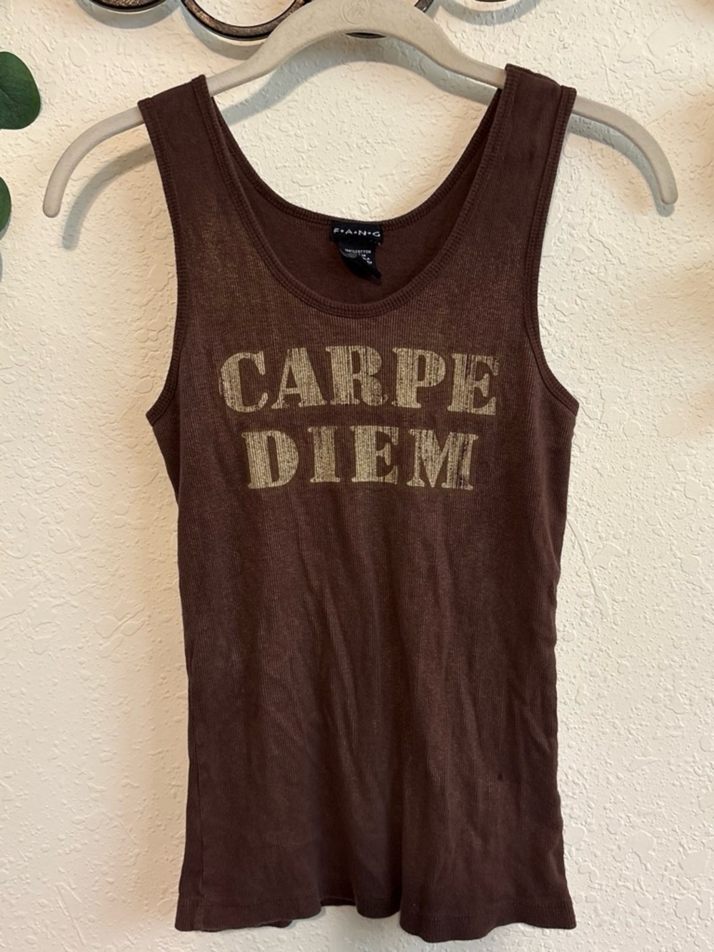 Y2K FANG Grunge Brown Graphic Tank Top✨